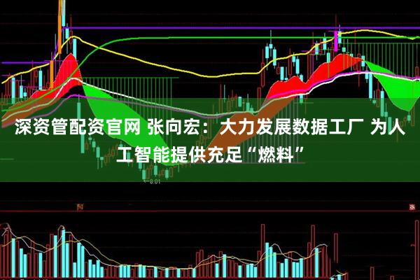 深资管配资官网 张向宏：大力发展数据工厂 为人工智能提供充足“燃料”